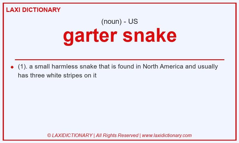 Definition garter snake in American English