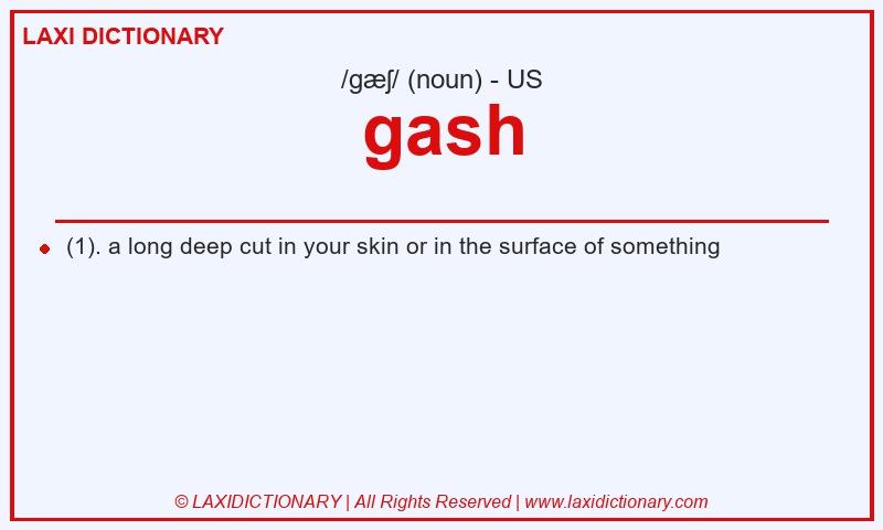 Definition gash in American English