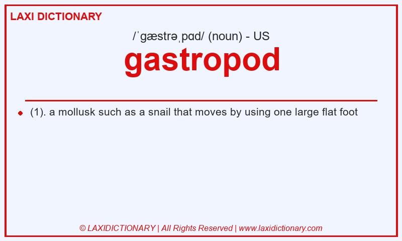 Definition gastropod in American English