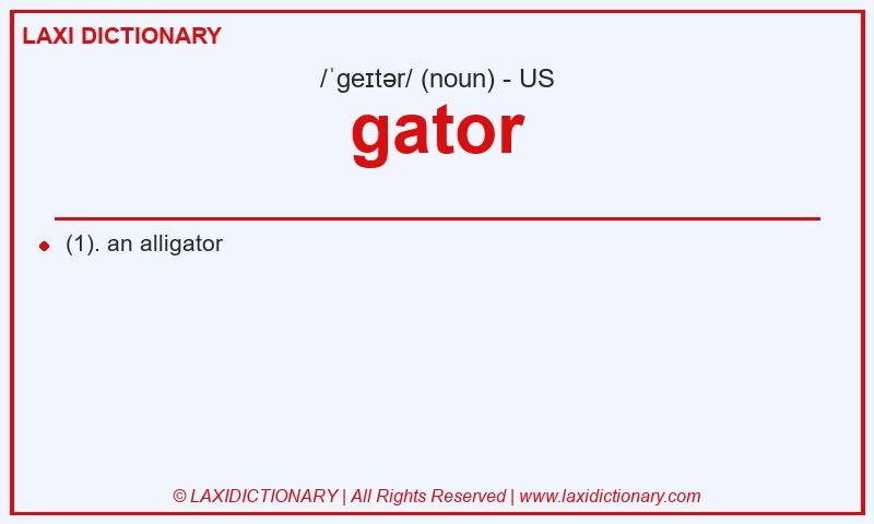 Definition gator in American English
