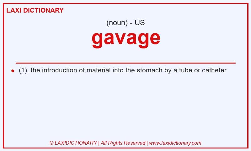 Definition gavage in American English