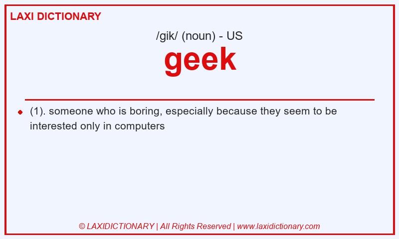 Definition geek in American English