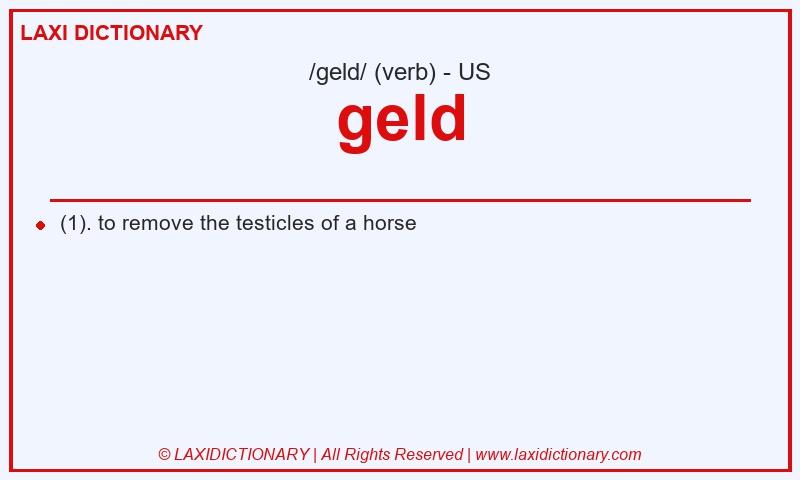 Definition geld in American English