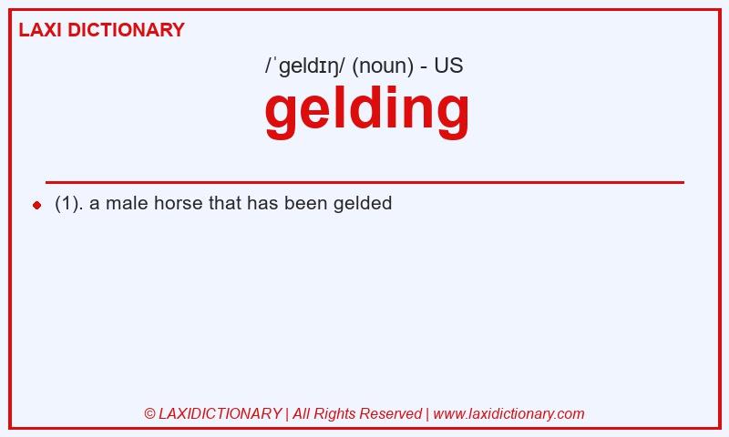 Definition gelding in American English