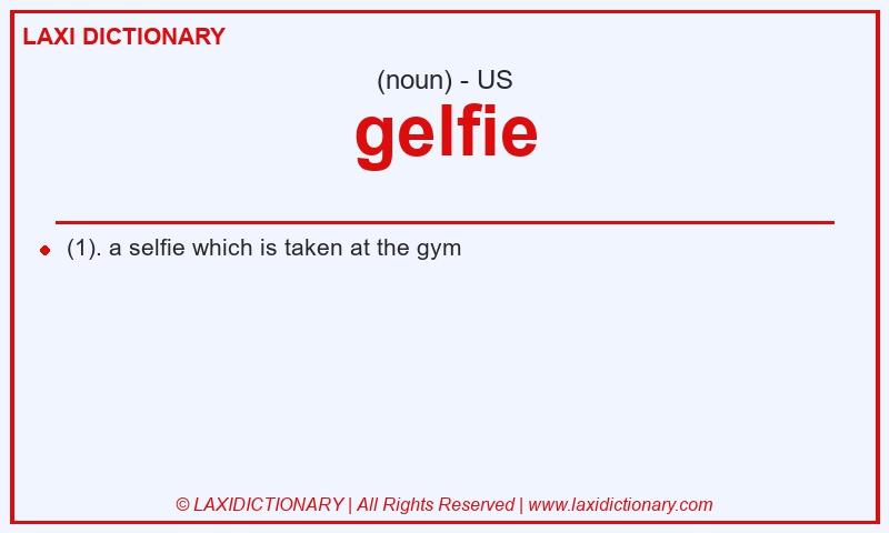 Definition gelfie in American English