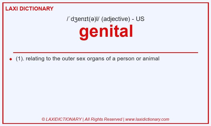 Definition genital in American English