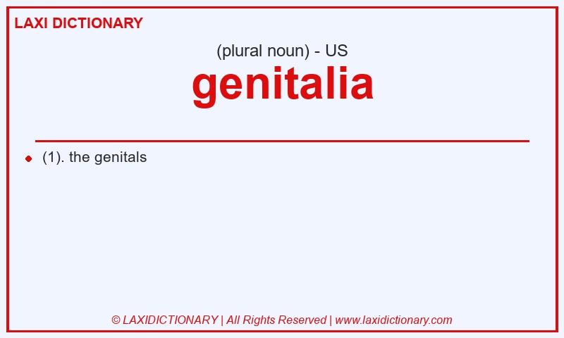 Definition genitalia in American English