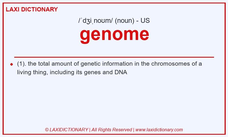 Definition genome in American English