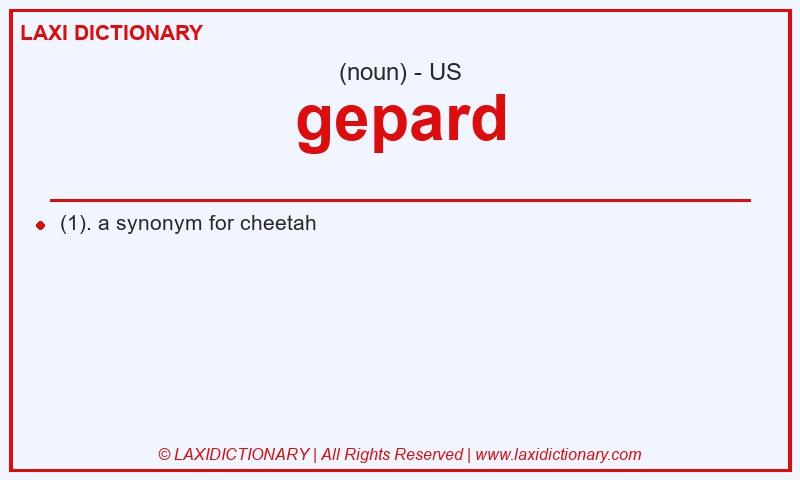Definition gepard in American English