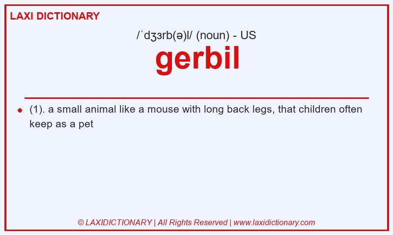 Definition gerbil in American English