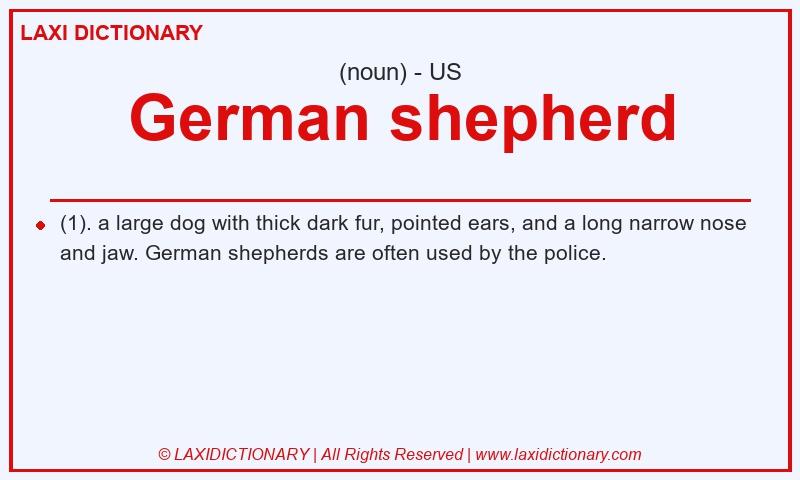 Definition German shepherd in American English