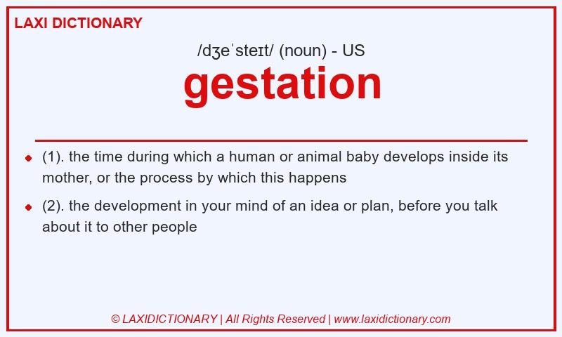 Definition gestation in American English