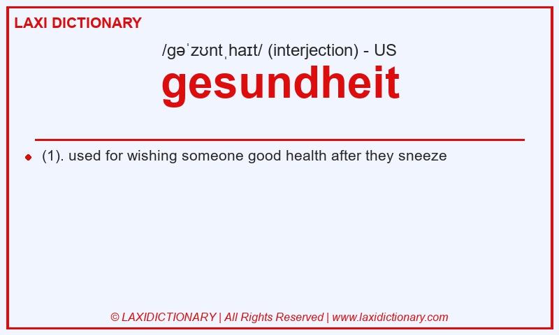 Definition gesundheit in American English