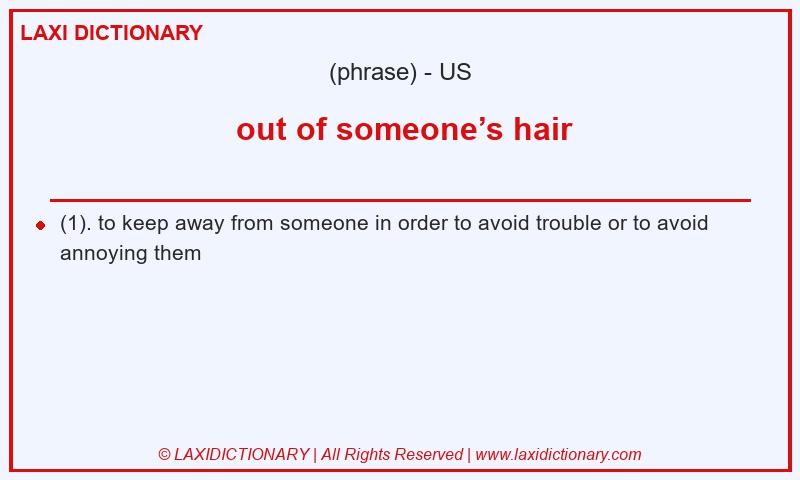 Definition  out of someone’s hair in American English