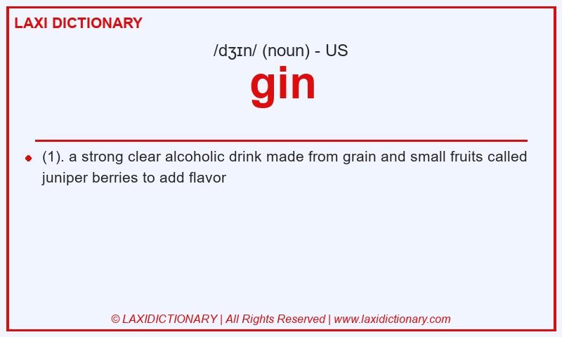 Definition gin in American English