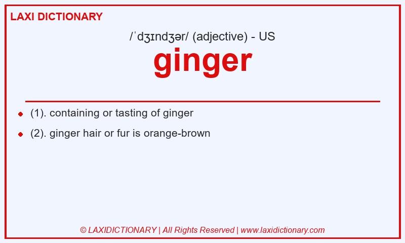 Definition ginger in American English