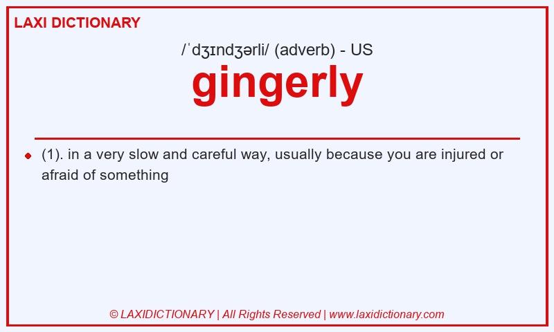 Definition gingerly in American English