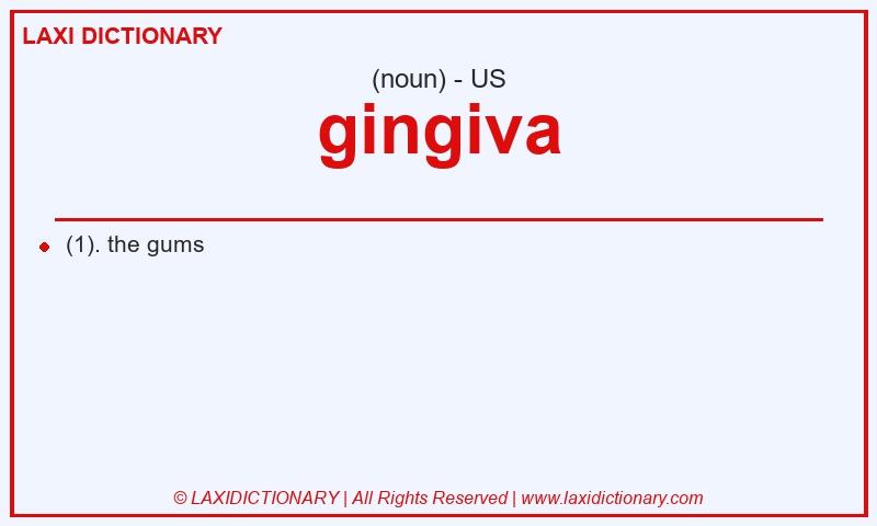 Definition gingiva in American English