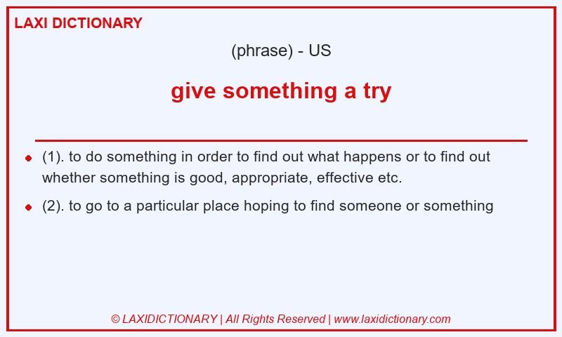 Definition give something a try in American English