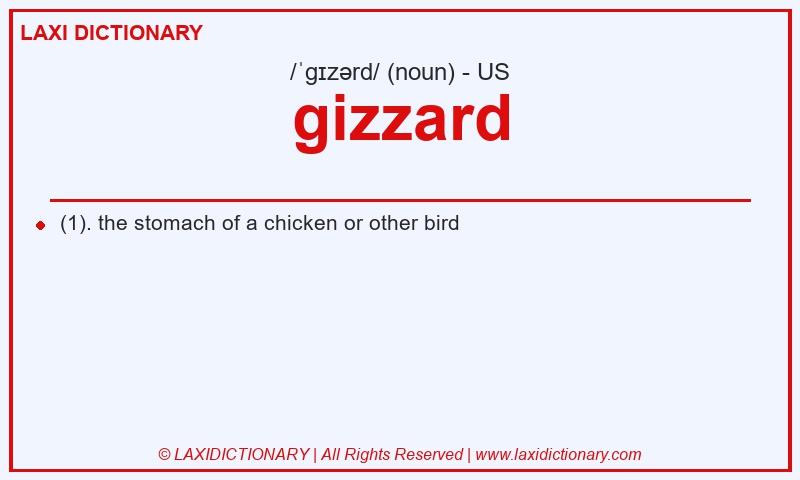 Definition gizzard in American English