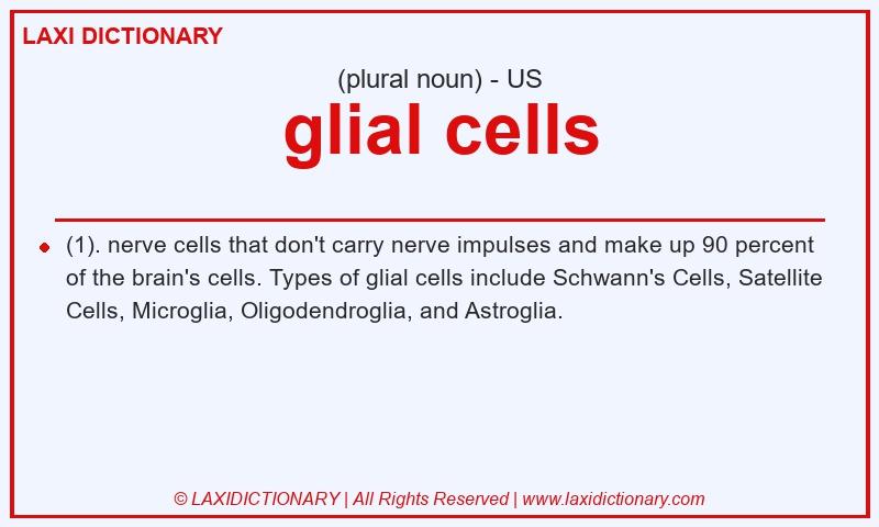 Definition glial cells in American English