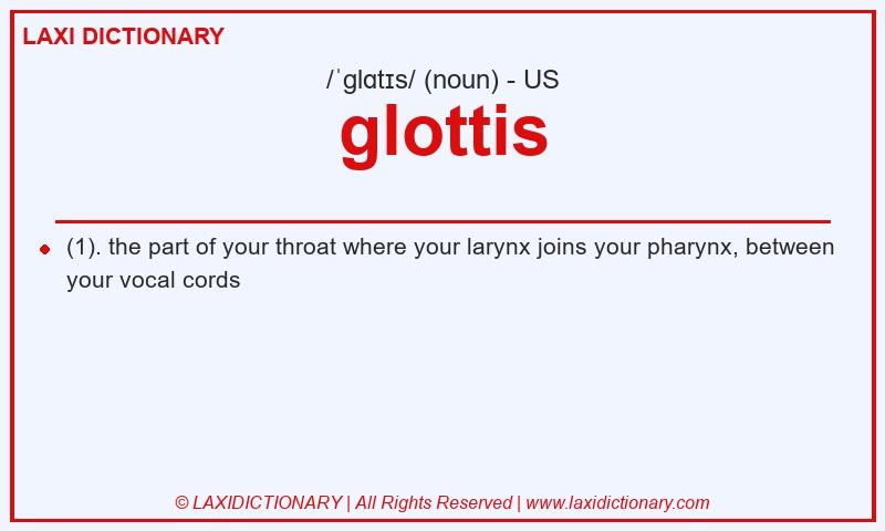 Definition glottis in American English