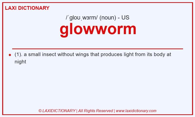 Definition glowworm in American English