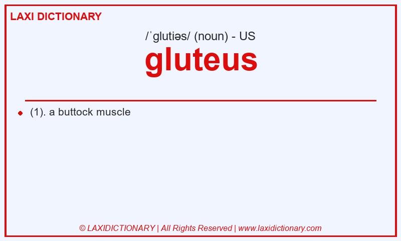 Definition gluteus in American English