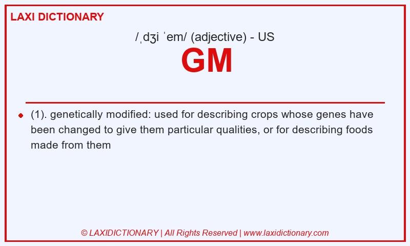 Definition GM in American English