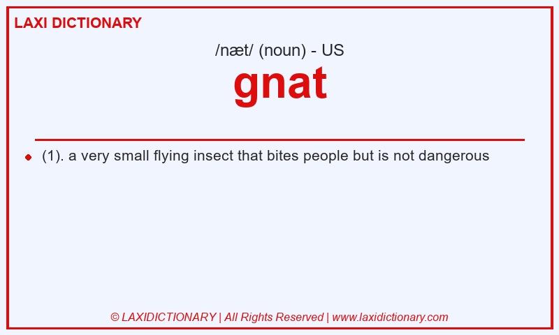 Definition gnat in American English