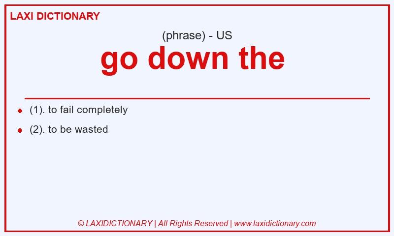 Definition go down the in American English