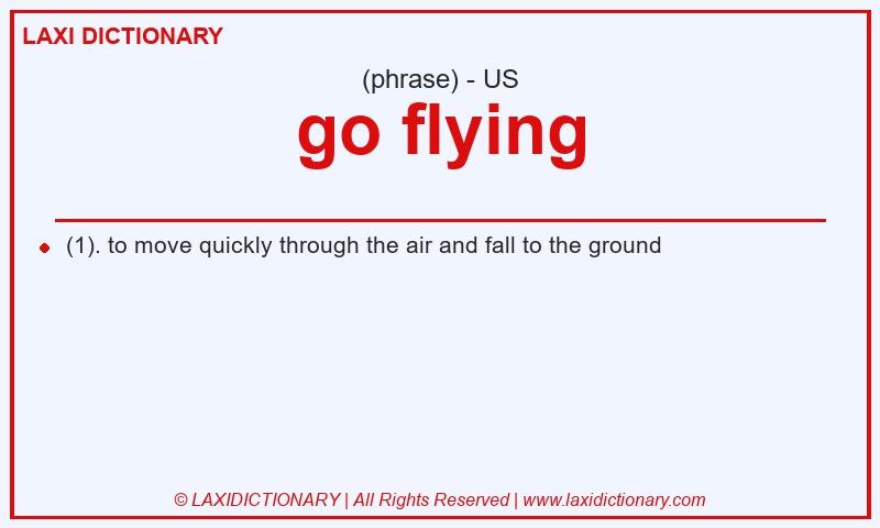 Definition go flying in American English