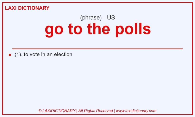 Definition go to the polls in American English