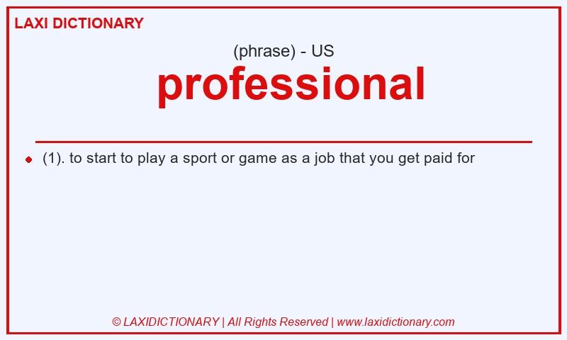 Definition  professional in American English