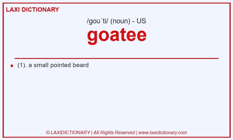 Definition goatee in American English