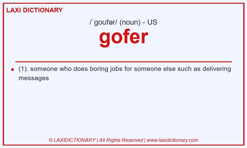 Definition gofer in American English