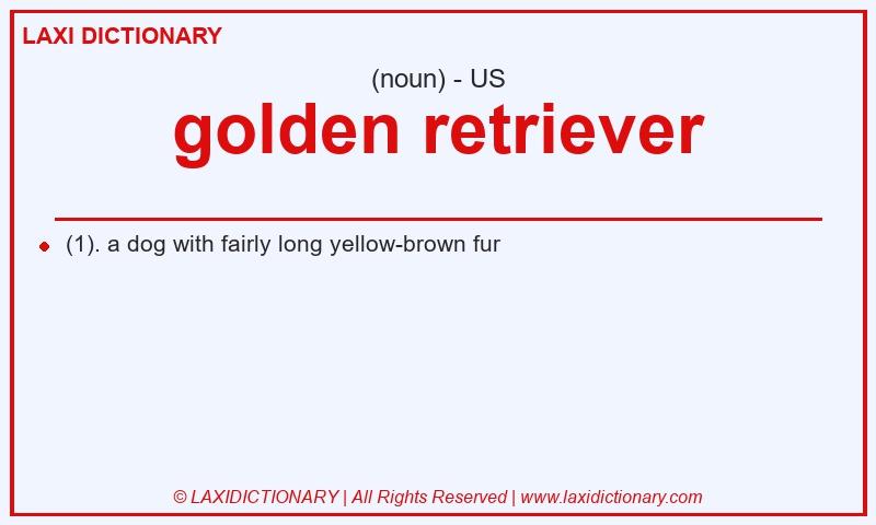 Definition golden retriever in American English