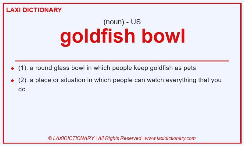 Definition goldfish bowl in American English
