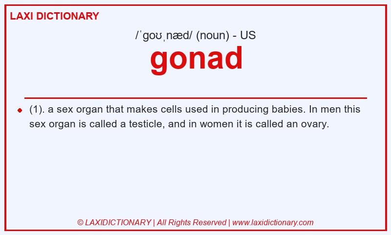 Definition gonad in American English