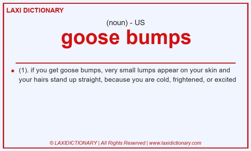 Definition goose bumps in American English
