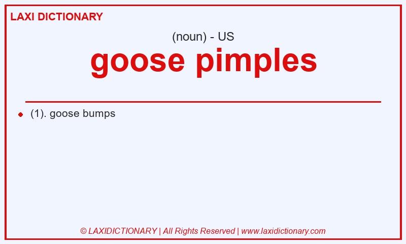 Definition goose pimples in American English