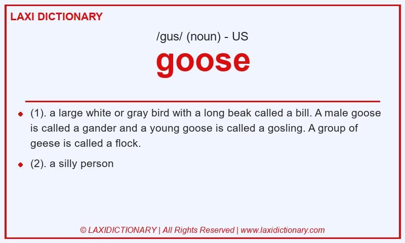 Definition goose in American English