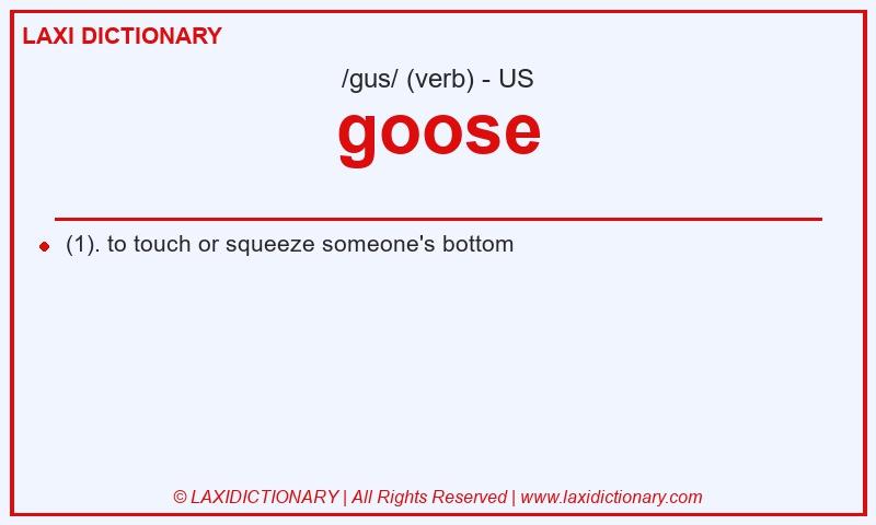 Definition goose in American English