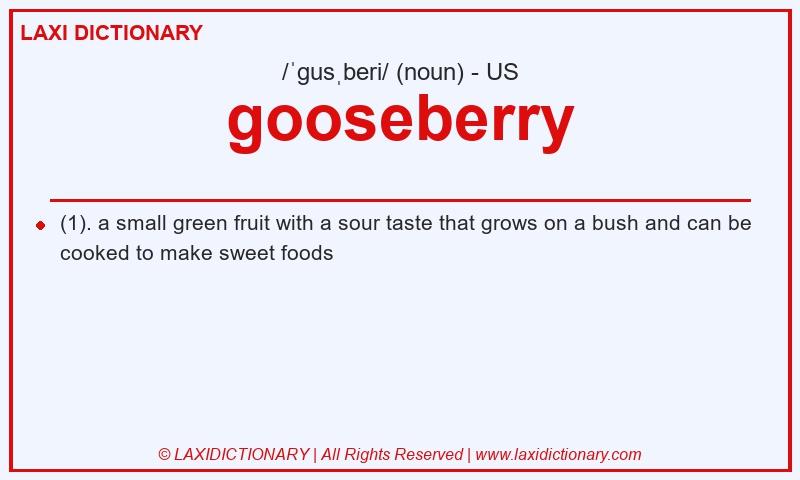 Definition gooseberry in American English