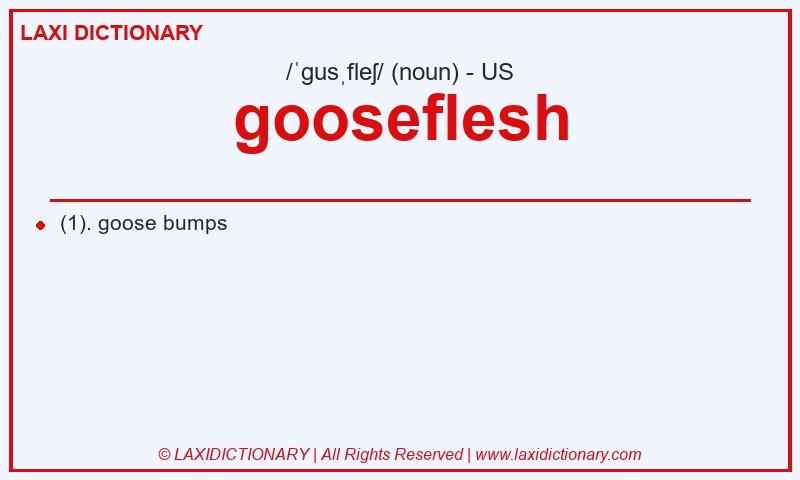 Definition gooseflesh in American English