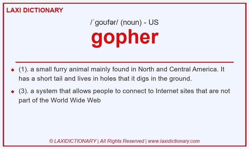 Definition gopher in American English
