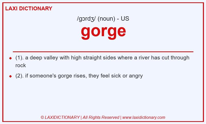 Definition gorge in American English