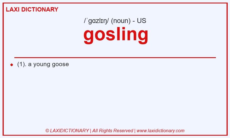 Definition gosling in American English