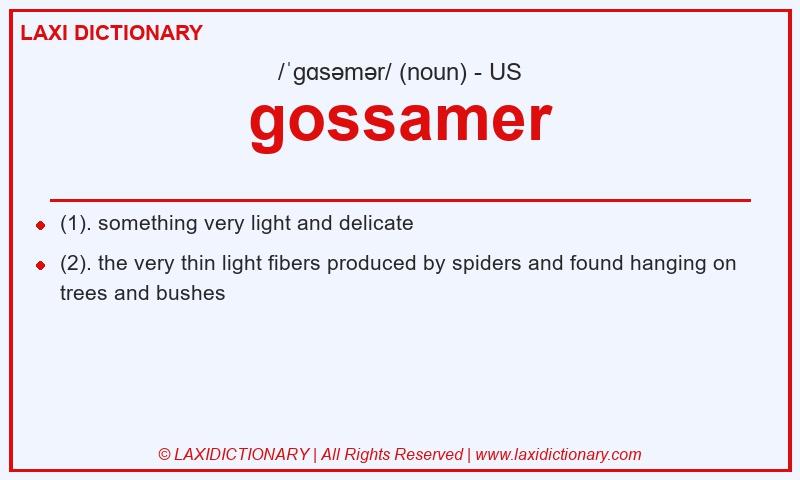 Definition gossamer in American English