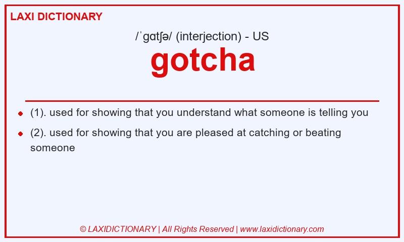 Definition gotcha in American English